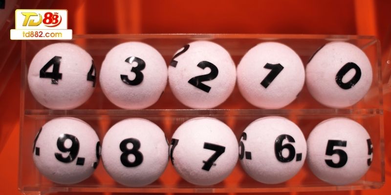 Cách đánh lô gan chuẩn khi đánh lô gan