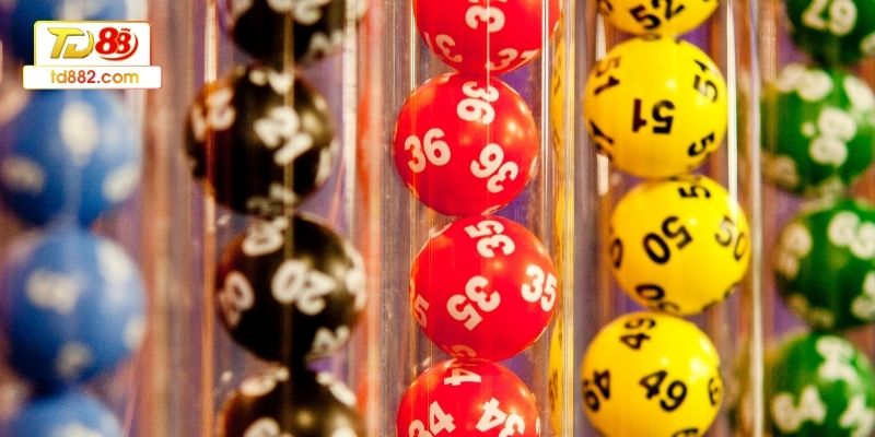 Dự đoán chính xác nhờ kết hợp con giáp