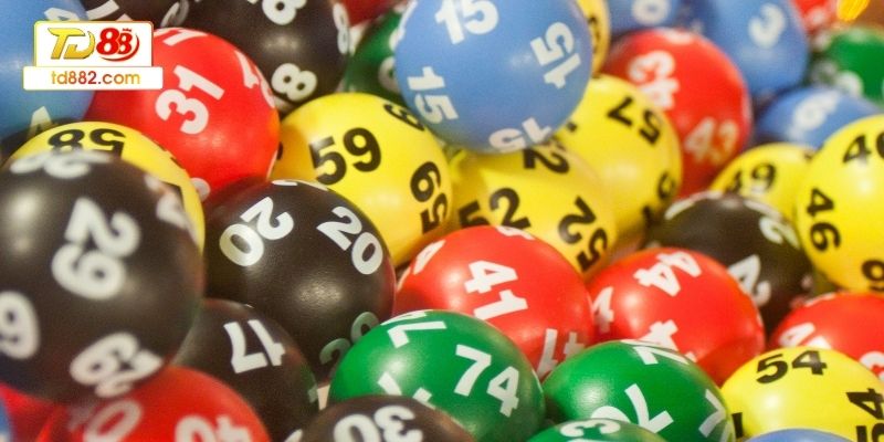 Tìm hiểu kỹ lô gan trước khi tham gia đánh